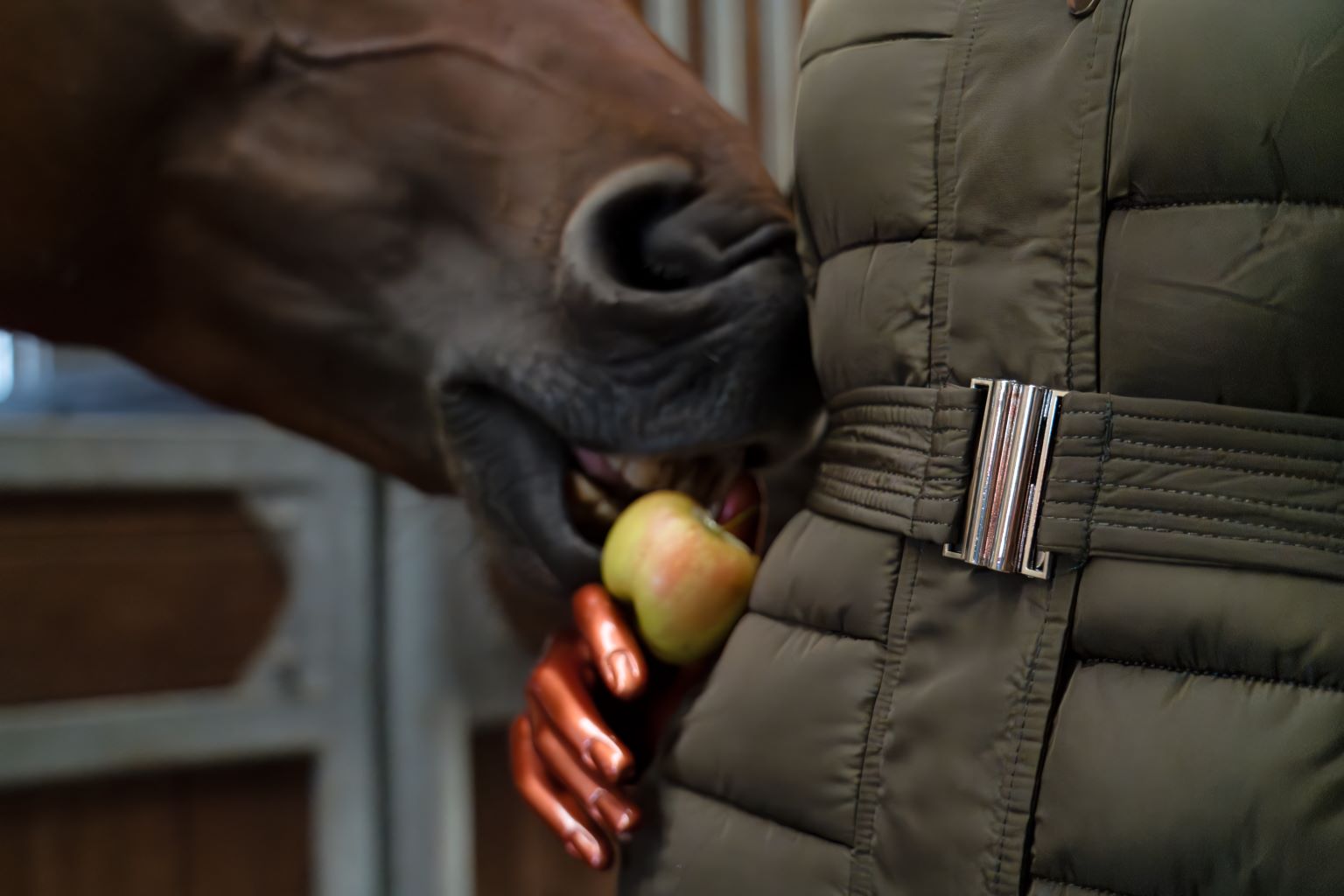 Glässini Wintermantel Buffy