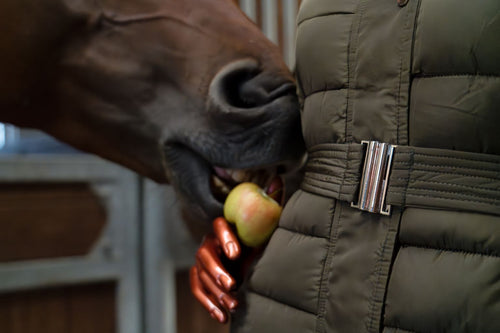 Glässini Wintermantel Buffy