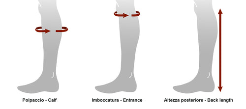 Parlanti K-Wings Chaps