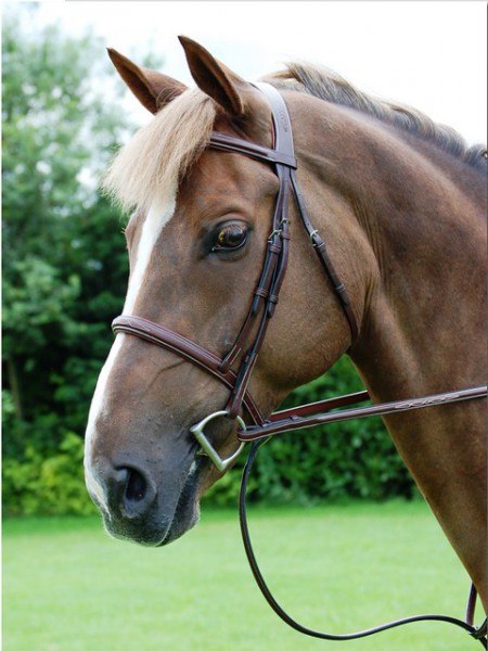Dyon Trense mit englischem reithalfter