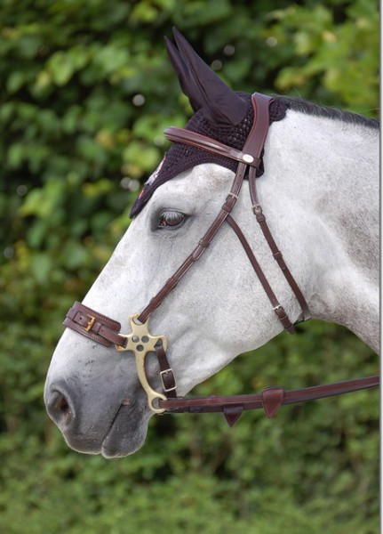 Dyon Hackamore-zaum