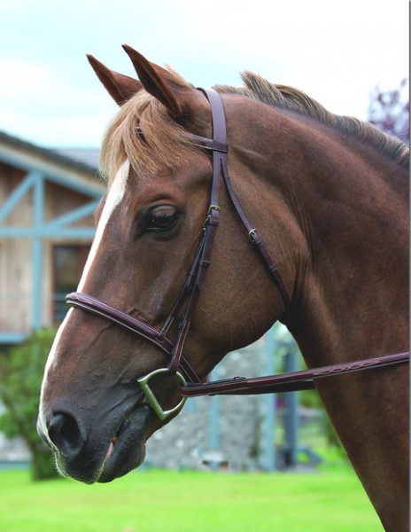 Dyon Trense “Classic” mit englischem Reithalfter