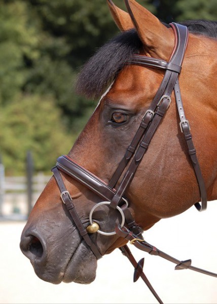 Dyon Trense “classic” mit breitem schwedischem Reithalfter
