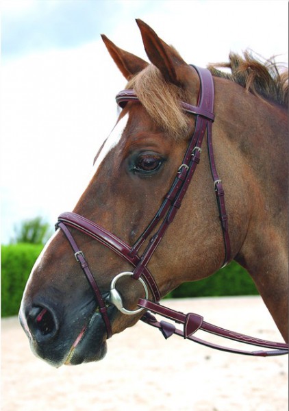 Dyon Trense mit kombiniertem Reithalfter